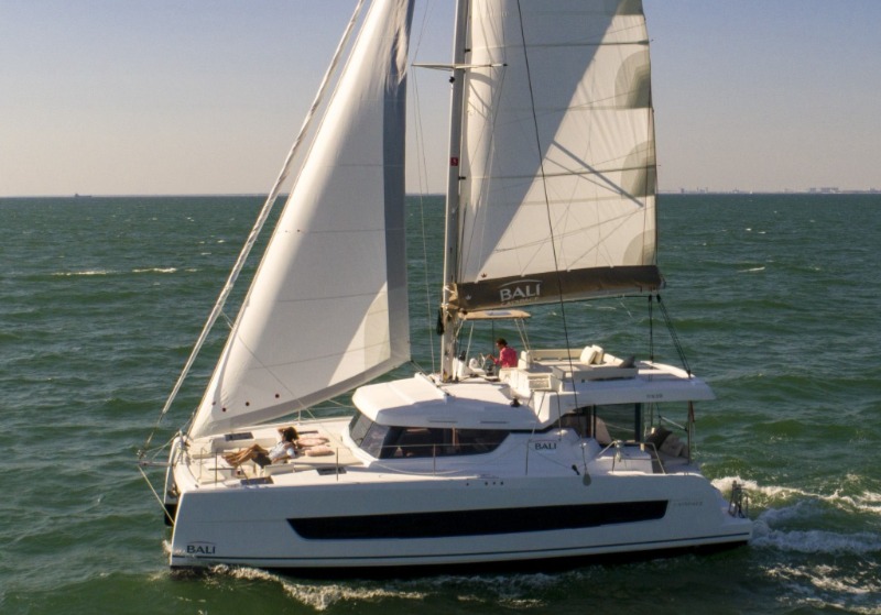 Discover Bali Catspace