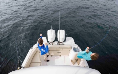 33 SAV, fish package