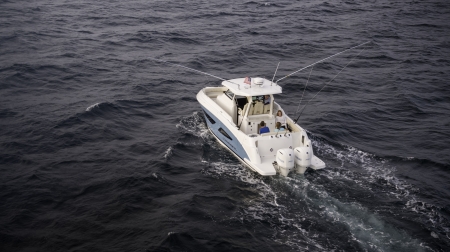 regal 33 sav new boat for sale - clipper marine uk image 3