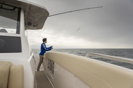 regal 33 sav new boat for sale - clipper marine uk image 9