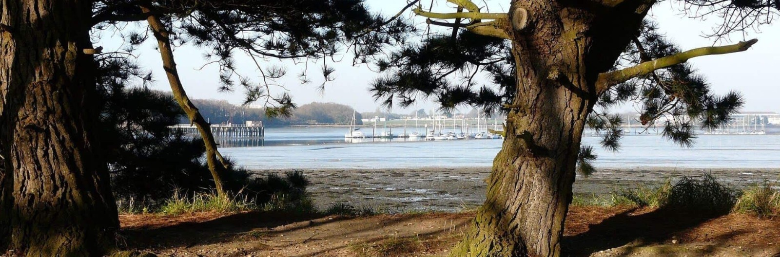 Boats For Sale Fareham