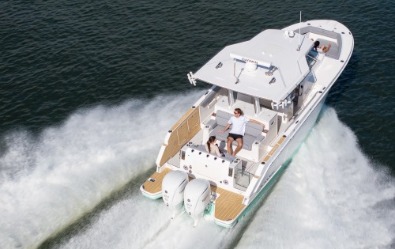 33 SAV, fish package